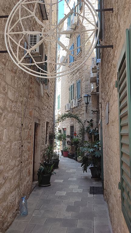 kotor
